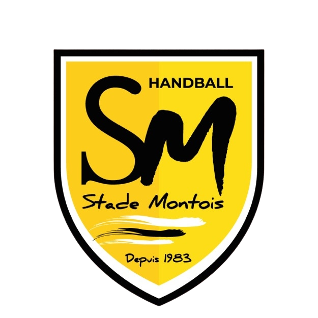 Le Stade Montois Handball